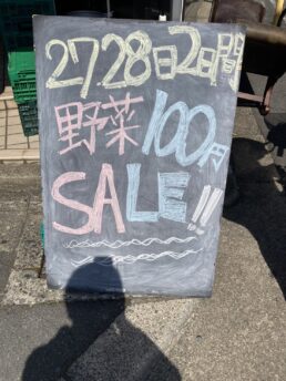 野菜100円SALE